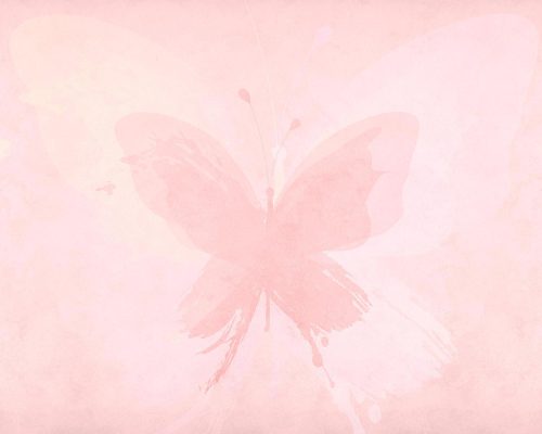 The queen butterfly wallpaper mural A10026700