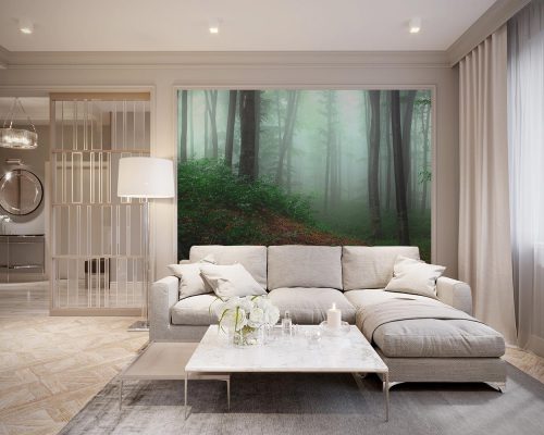 The foggy rain forest living room wallpaper mural A10033700