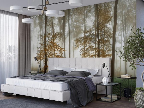 Foggy Autumn Jungle Wallpaper Mural A10052500 suitable for bedroom