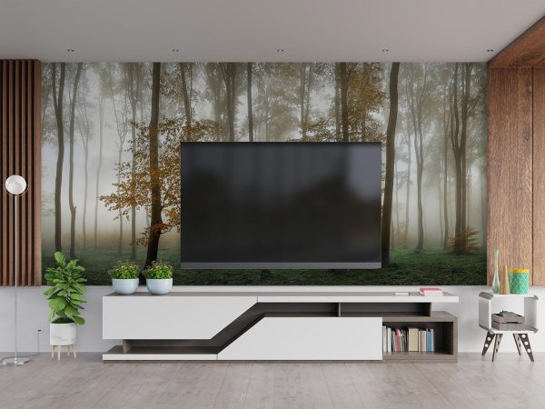 Foggy Autumn Jungle Wallpaper Mural A10052500 behind TV