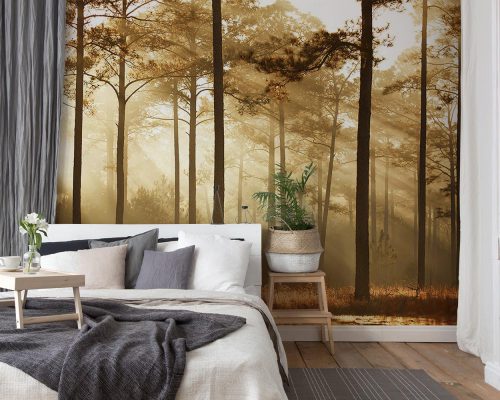 Foggy Jungle Wallpaper Mural A10053110 in bedroom