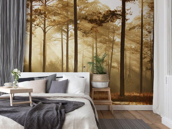 Foggy Jungle Wallpaper Mural A10053110 in bedroom