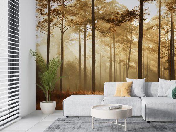 Foggy Jungle Wallpaper Mural A10053110 in living room