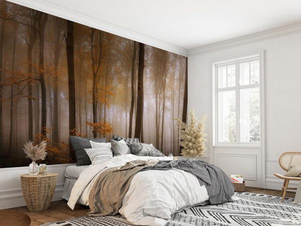 Foggy Autumn Jungle Wallpaper Mural A10053310 in bedroom