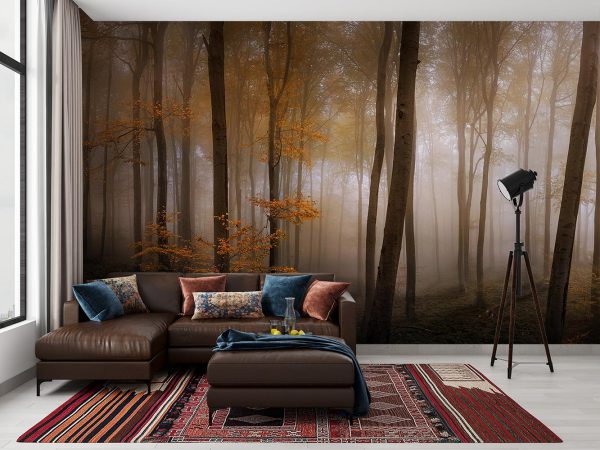Foggy Autumn Jungle Wallpaper Mural A10053310 suitable for living room