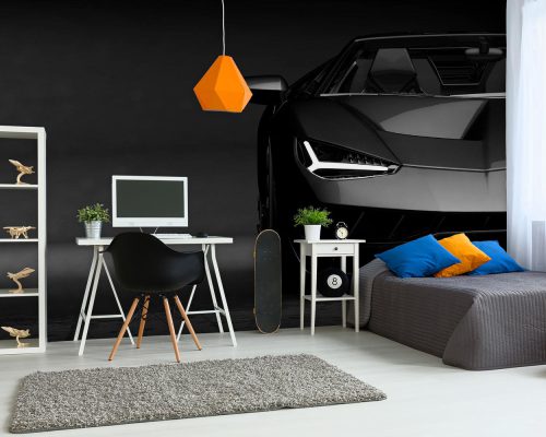 Lamborghini Hyper Car in Black and White Wallpaper Mural A10053600 Boy room