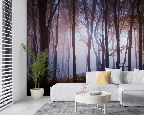 Foggy Autumn Jungle Wallpaper Mural A10053900 living room