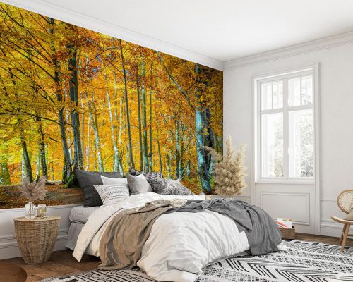 Autumn Jungle Wallpaper Mural A10058400 for bedroom