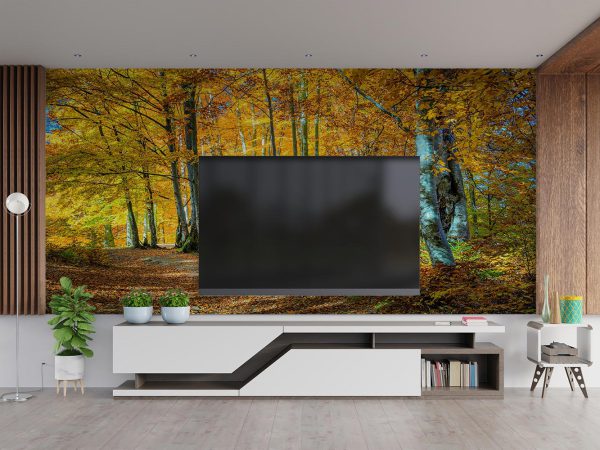 Autumn Jungle Wallpaper Mural A10058400 TV