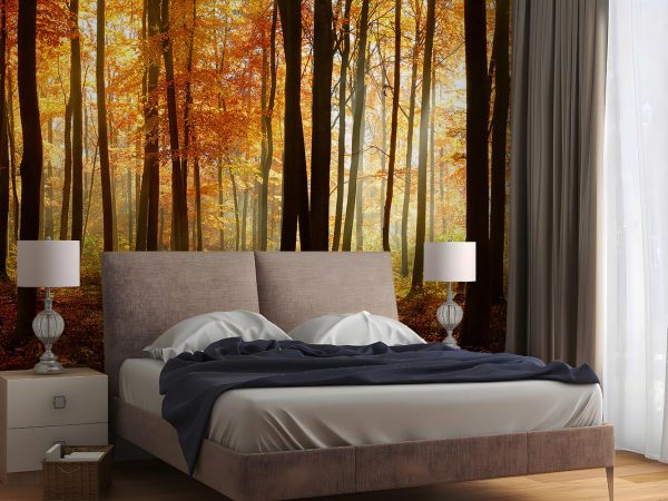 Orange Autumn Forest Wallpaper Mural A10113700 for bedroom