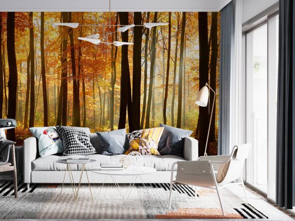 Orange Autumn Forest Wallpaper Mural A10113700 for living room