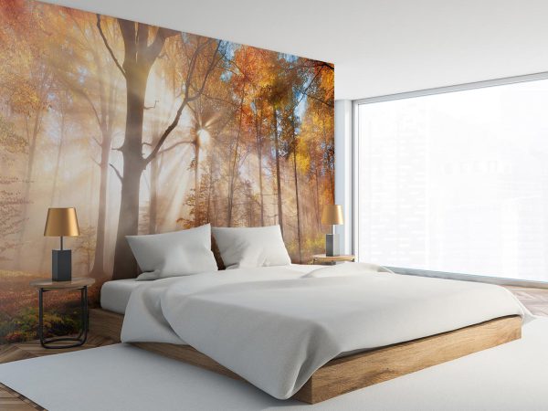 Enchanting Sun Rays Falling Through the Mist in an Orange Forest in Autumn Wallpaper Mural A10171100 for bedroom