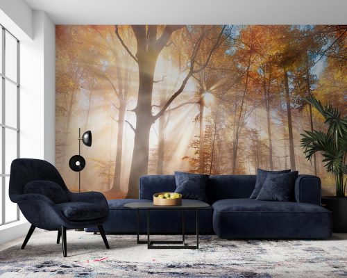 Enchanting Sun Rays Falling Through the Mist in an Orange Forest in Autumn Wallpaper Mural A10171100 for living room