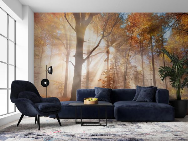Enchanting Sun Rays Falling Through the Mist in an Orange Forest in Autumn Wallpaper Mural A10171100 for living room