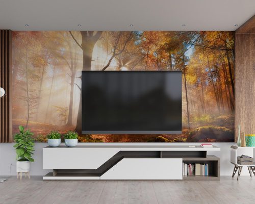 Enchanting Sun Rays Falling Through the Mist in an Orange Forest in Autumn Wallpaper Mural A10171100 behind TV