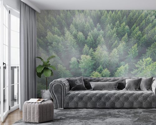 Aerial View of Green Forest in Mist Wallpaper Mural A10281000 for living room