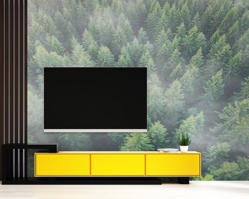Aerial View of Green Forest in Mist Wallpaper Mural A10281000 behind TV