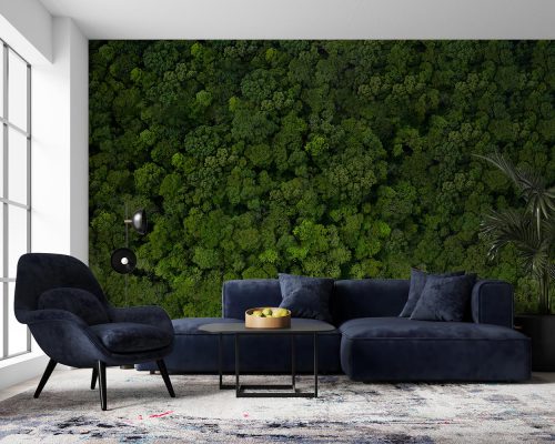 Aerial View of Green Dense Forest Wallpaper Mural A10287200 for living room