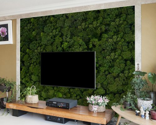 Aerial View of Green Dense Forest Wallpaper Mural A10287200 behind TV