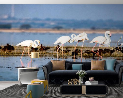 White Flamingos in Blue Lake Wallpaper Mural A10288800 for living room