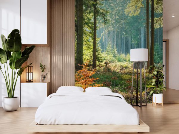 Green Lush Forest Wallpaper Mural A10295700 for bedroom