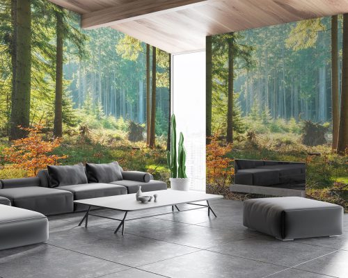 Green Lush Forest Wallpaper Mural A10295700 for living room