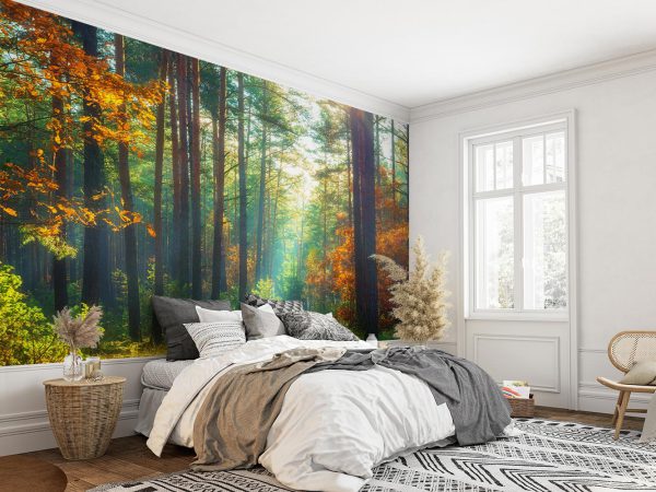 Green and Orange Forest Wallpaper Mural A10296100 for bedroom