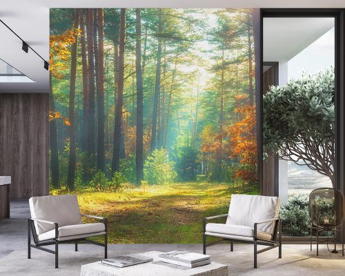 Green and Orange Forest Wallpaper Mural A10296100 for living room