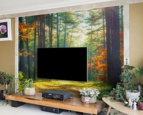 Green and Orange Forest Wallpaper Mural A10296100 behind TV