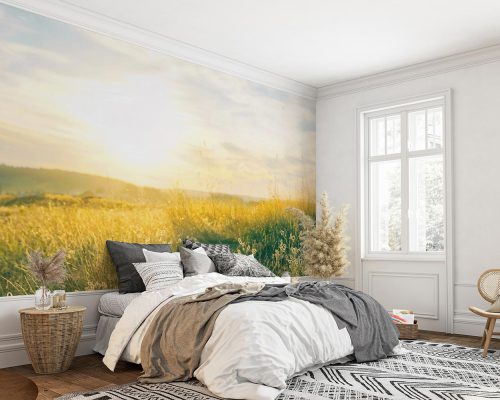 Green Field and Meadow Under Yellow Sunlight Wallpaper Mural A10296800 for bedroom