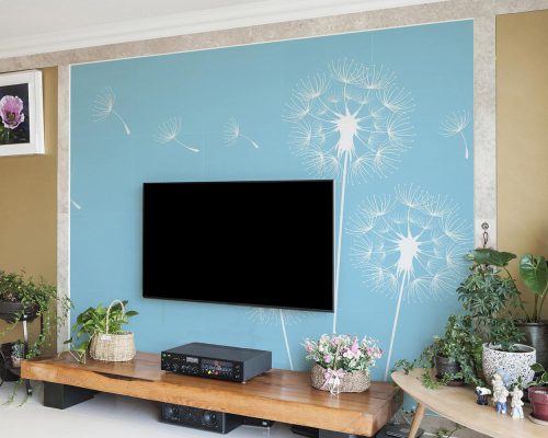 White Flat Dandelion in Blue Background Wallpaper Mural A11016100 behind Tv