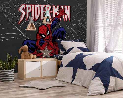 Cartoon Spider Man in Charcoal Background Wallpaper Mural A11018100 for boy room