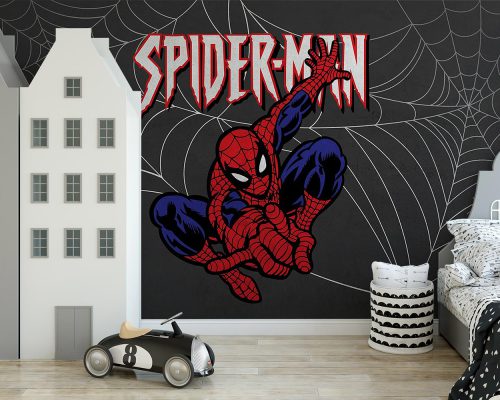 Cartoon Spider Man in Charcoal Background Wallpaper Mural A11018100 for kids room